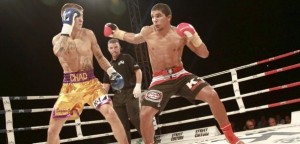 Кристофер Мена заменит Энди Сауэра на К-1 World Max 2013 Final 8.