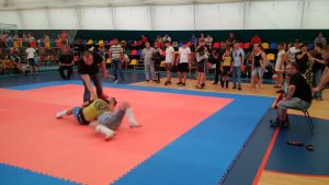 img_20170623_165330