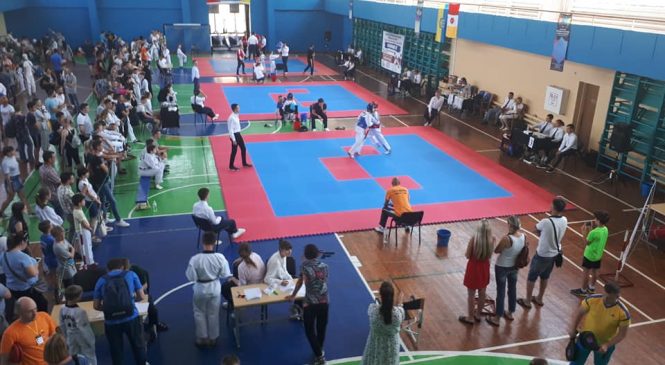 «Южная Пальмира 2019» по тхэквондо стала рейтинговым турниром на чемпионаты мира и Европы